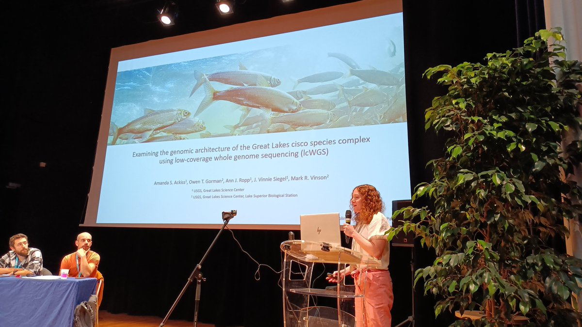 <a href="/coregonid_isbmc/">Coregonid 2023</a>  Wednesday session dedicated to genomics researches : the huge diversity of whitefish in lakes.