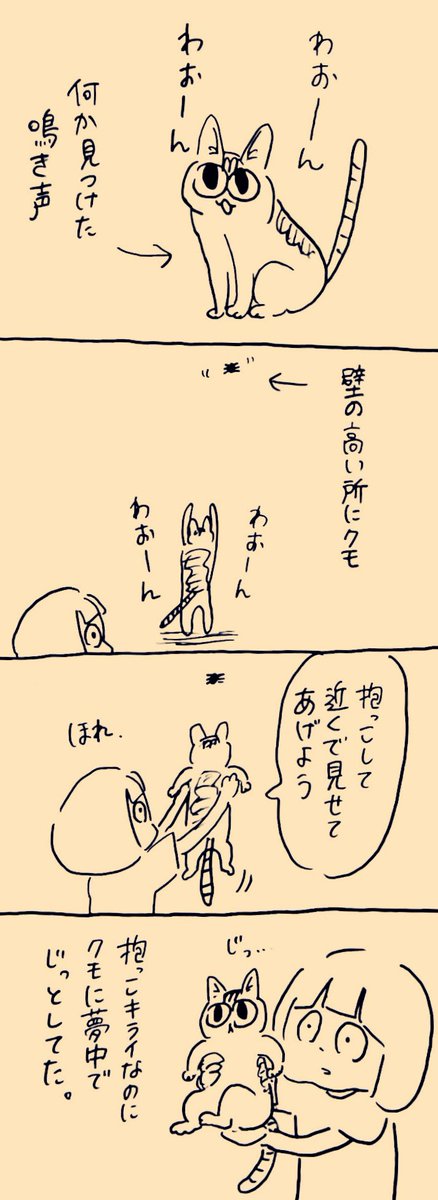 𝐁𝐚𝐛𝐲すぎる