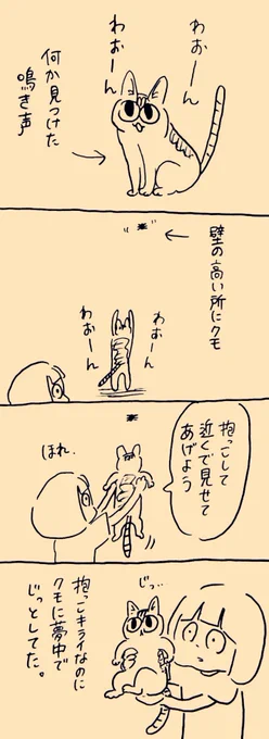 𝐁𝐚𝐛𝐲すぎる