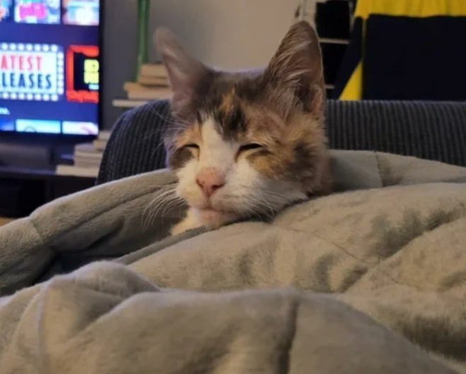 NCVABCUND's tweet photo. ashley upon waking up; https://t.co/cV9PHjumY3