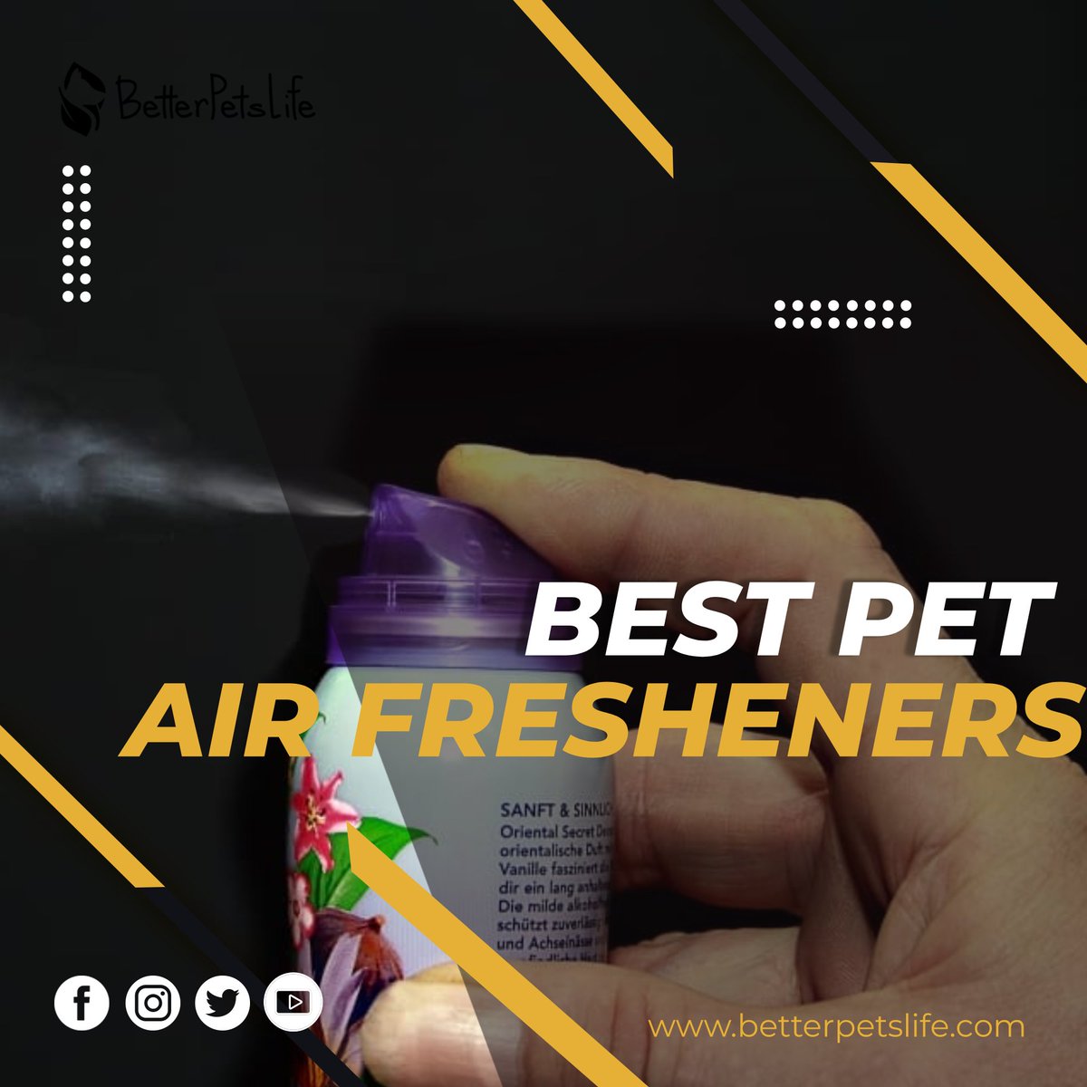 BetterPetsLife's tweet photo. Discover the best pet air fresheners to create a delightful atmosphere for you and your furry friend. Say goodbye to unwanted odors 🐶🌼.
View Now ➡️: https://t.co/mcsNKTKpS1

#PetFriendlyHome #FreshAir #pet #dog #pets #dogs   #cute #cat #puppy #cats #animals #thursdaymorning https://t.co/N6sKLISVXd
