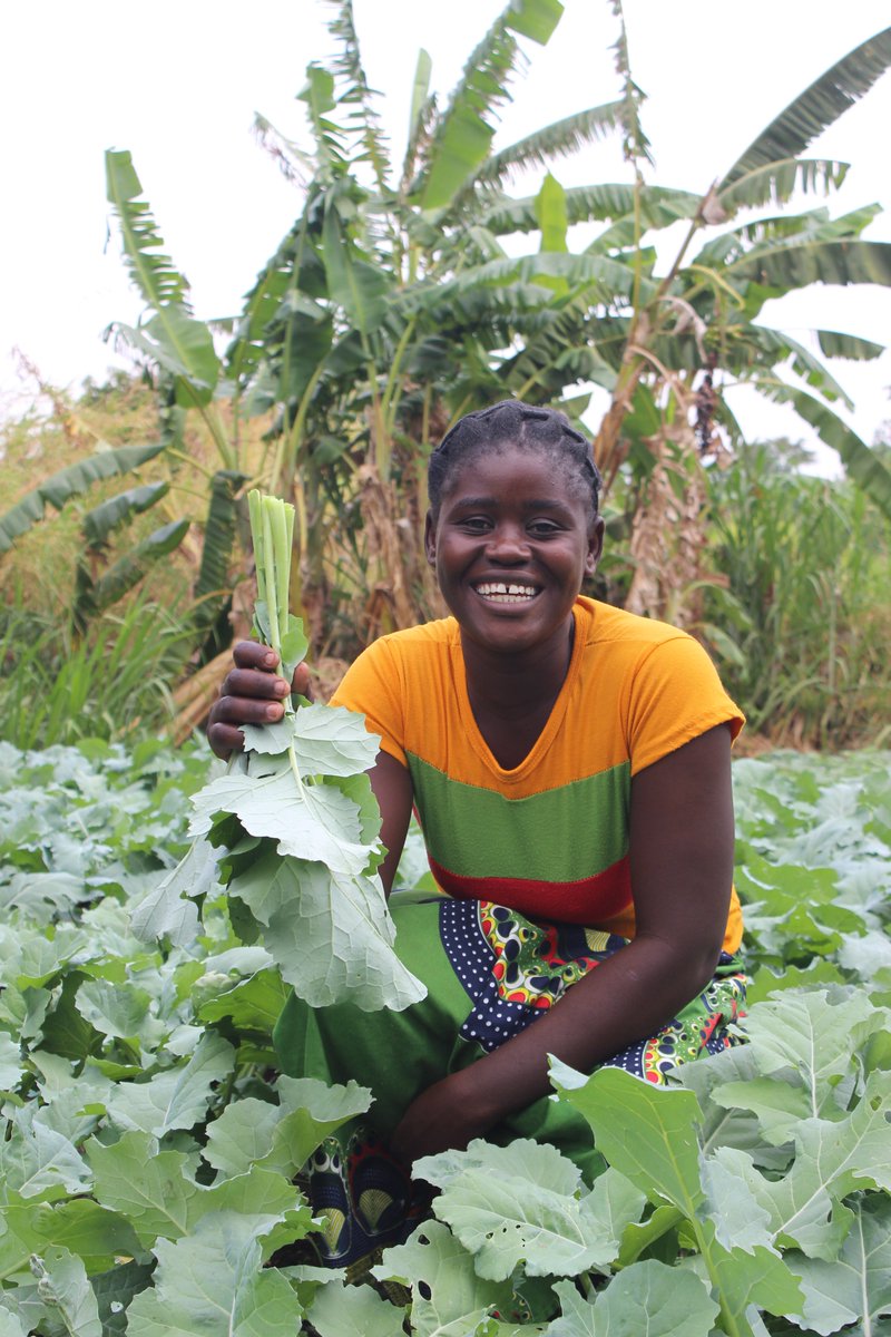 UNDPZambia's tweet photo. Local Solutions can Solve Global Problems

@GEF_SGP in Zambia prepares to award grants to 9 community-based orgs for their winning proposals covering: 

🌳Sustainable Forest Management
🌱Climate adaptation &amp; mitigation
🏞️Biodiversity Conservation
💧Water resources management https://t.co/vMxUlA8HU4