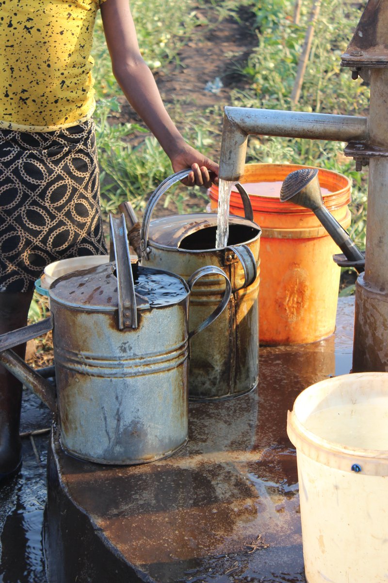 UNDPZambia's tweet photo. Local Solutions can Solve Global Problems

@GEF_SGP in Zambia prepares to award grants to 9 community-based orgs for their winning proposals covering: 

🌳Sustainable Forest Management
🌱Climate adaptation &amp; mitigation
🏞️Biodiversity Conservation
💧Water resources management https://t.co/vMxUlA8HU4