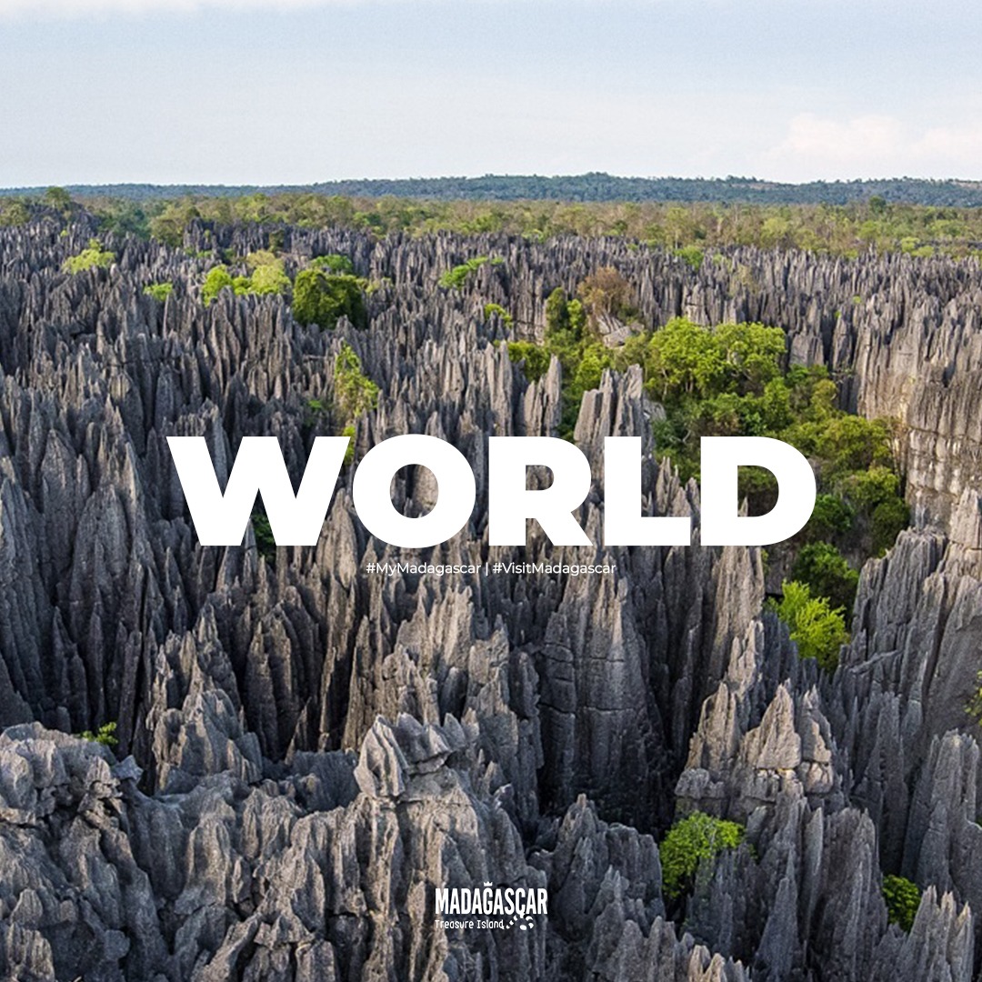 IleMadagascar's tweet photo. Happy World Tourism Day !!! 🌈✨

#WorldTourismDay remind us of the beauty and richness of our country, encouraging us to explore and protect it. 💚

#MyMadagascar #VisitMadagascar https://t.co/TzWTDQbY0x