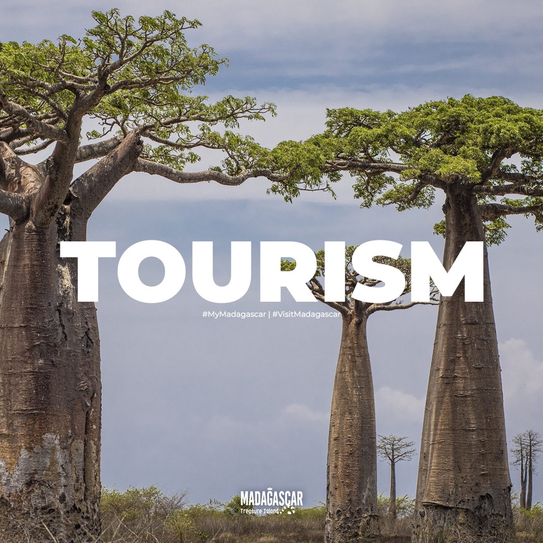 IleMadagascar's tweet photo. Happy World Tourism Day !!! 🌈✨

#WorldTourismDay remind us of the beauty and richness of our country, encouraging us to explore and protect it. 💚

#MyMadagascar #VisitMadagascar https://t.co/TzWTDQbY0x