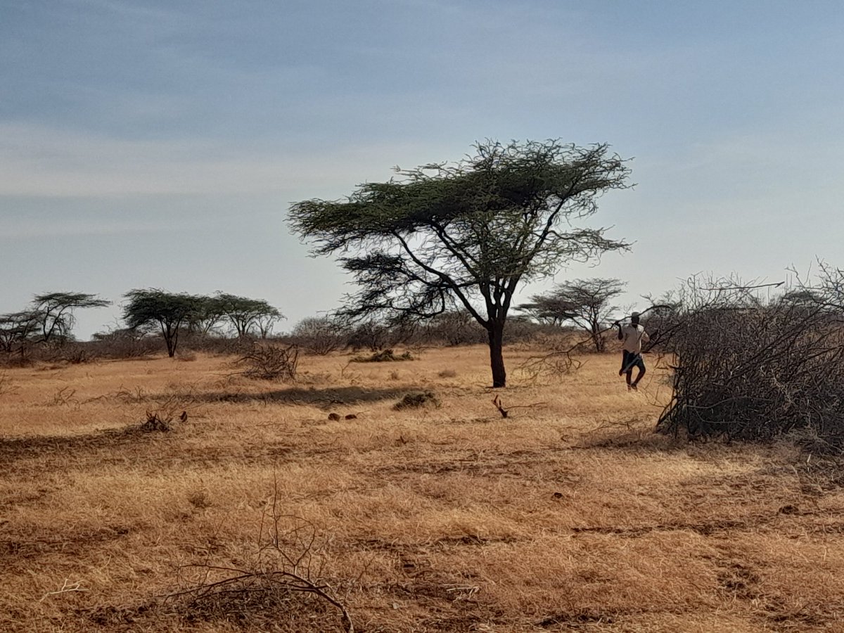 khalifadam7's tweet photo. NRT it should be boycotted in Northern region at all cost despite are poor in terms of funds to build huge project and do minnings we can do our own conservatory on our land n animals https://t.co/VNrikxMcUe