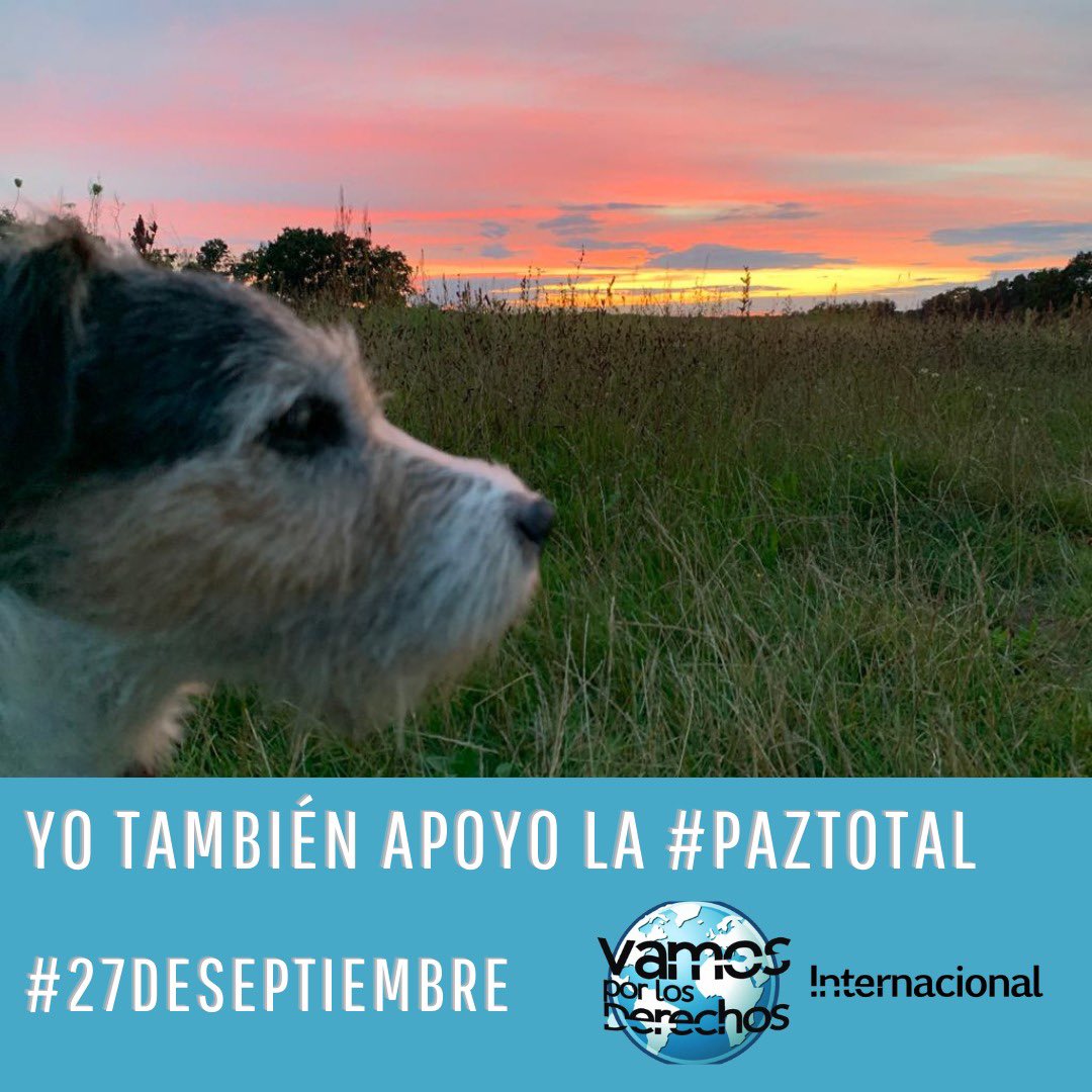Vamos X los Derechos Internacional tweet media