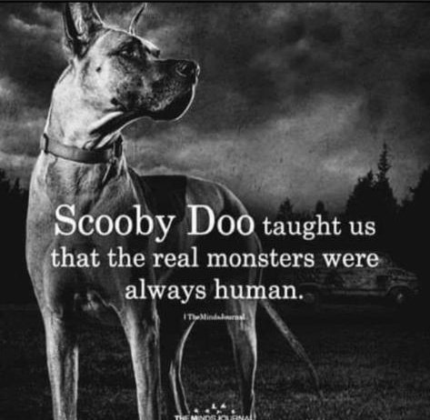 N0TINSERVICE's tweet photo. #scoobs โค๏ธ
Some people shouldn't have animals!! https://t.co/DuzMujnMIM