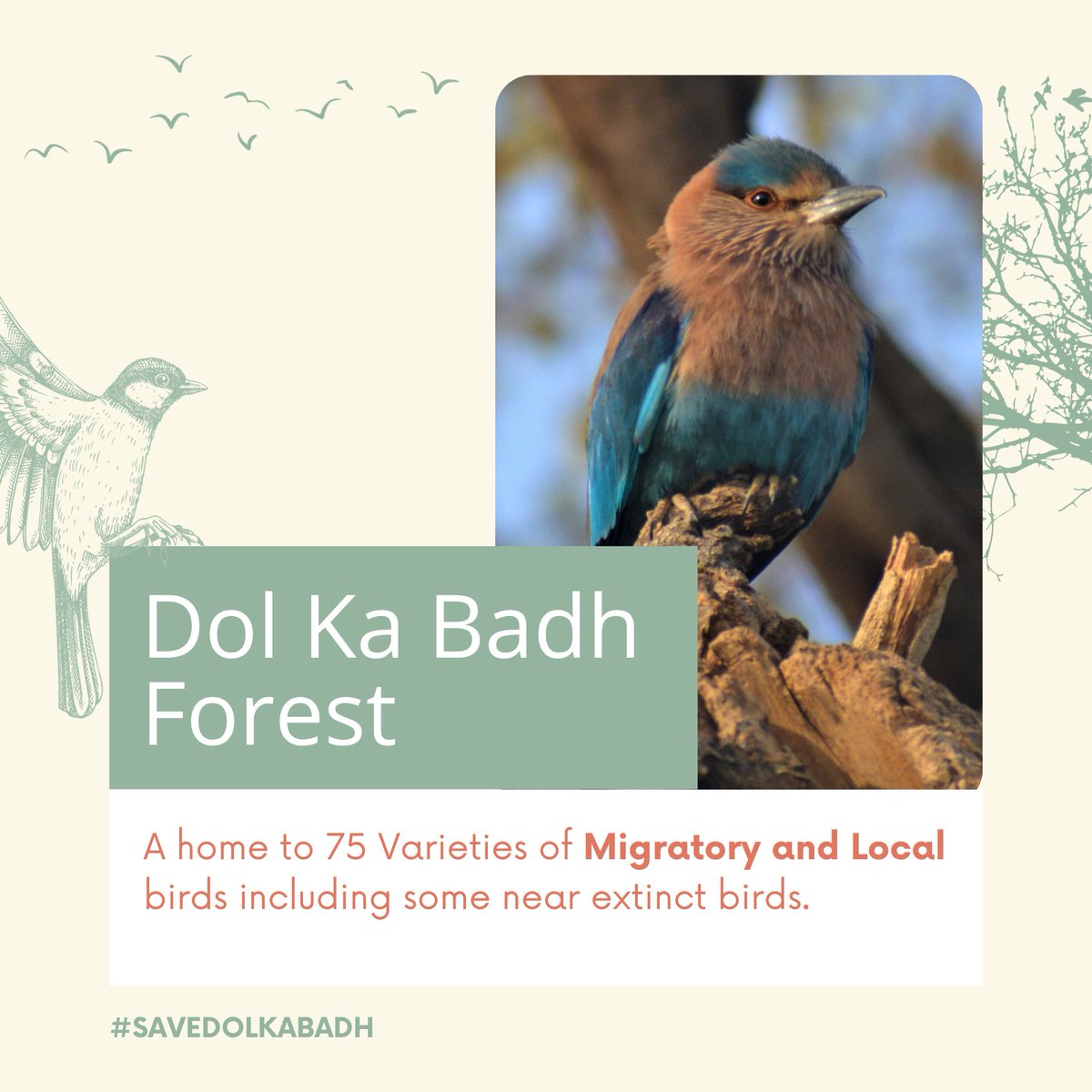 On the Day of World Tourism Day let's raise our voice to declare Dol ka badh forest as a Bio Diversity Tourism Place

<a href="/ashokgehlot51/">Ashok Gehlot</a>  9000+ people have signed the petition for the relocation of the fintech park!

#dolkabadh