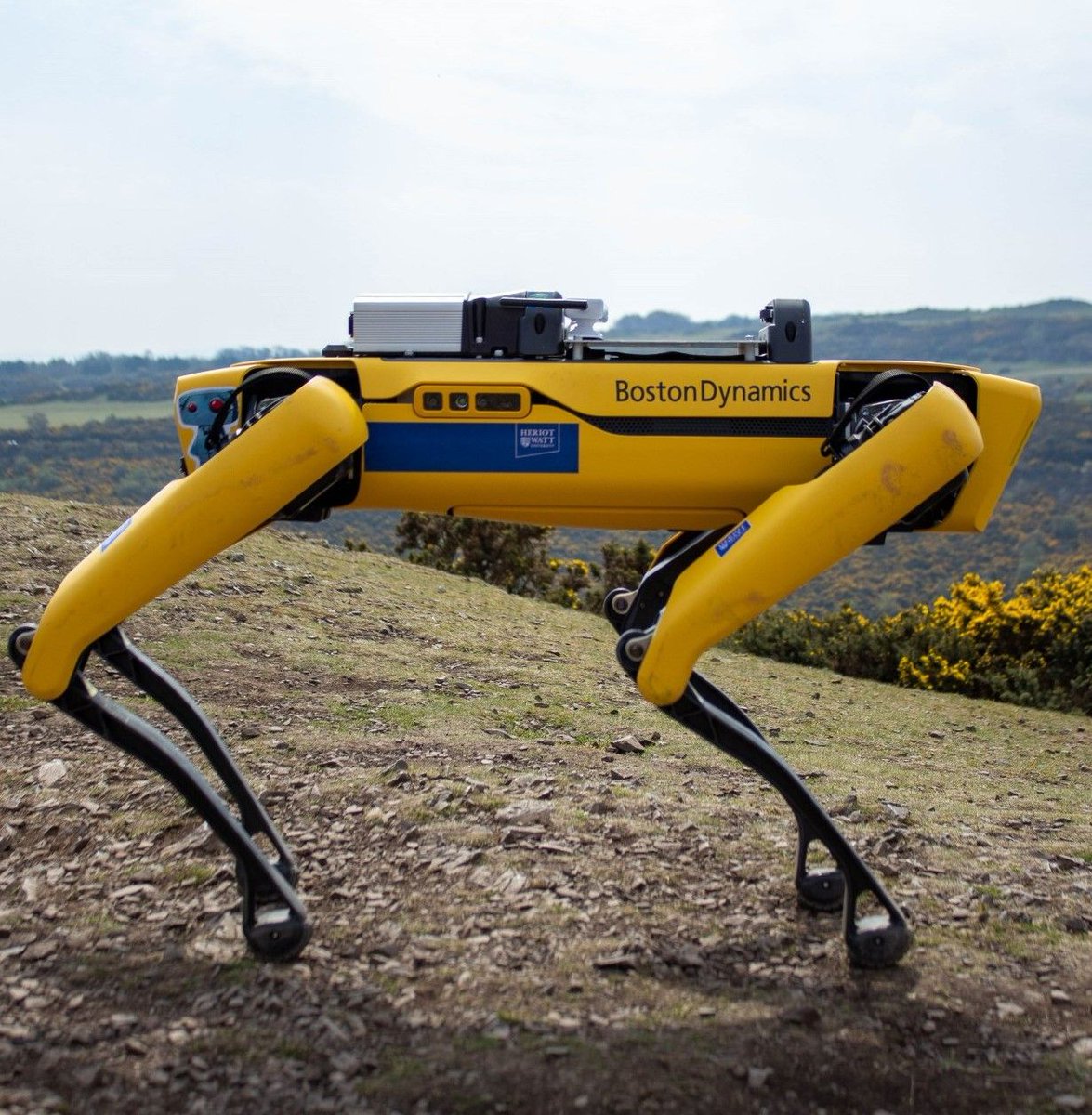 DataCapitalEd's tweet photo. #DataConf23 LIVE UPDATE: Let us know what your favourite part of the Data Conference has been so far by leaving a comment below 💭

🤖&amp; Get ready for a BIG surprise during our #networking lunch break (12:20 p.m) 🤖

#ScotsmanData23 @TheScotsman ©️ @NRobotarium @HeriotWattUni https://t.co/mUiYB8bGAF