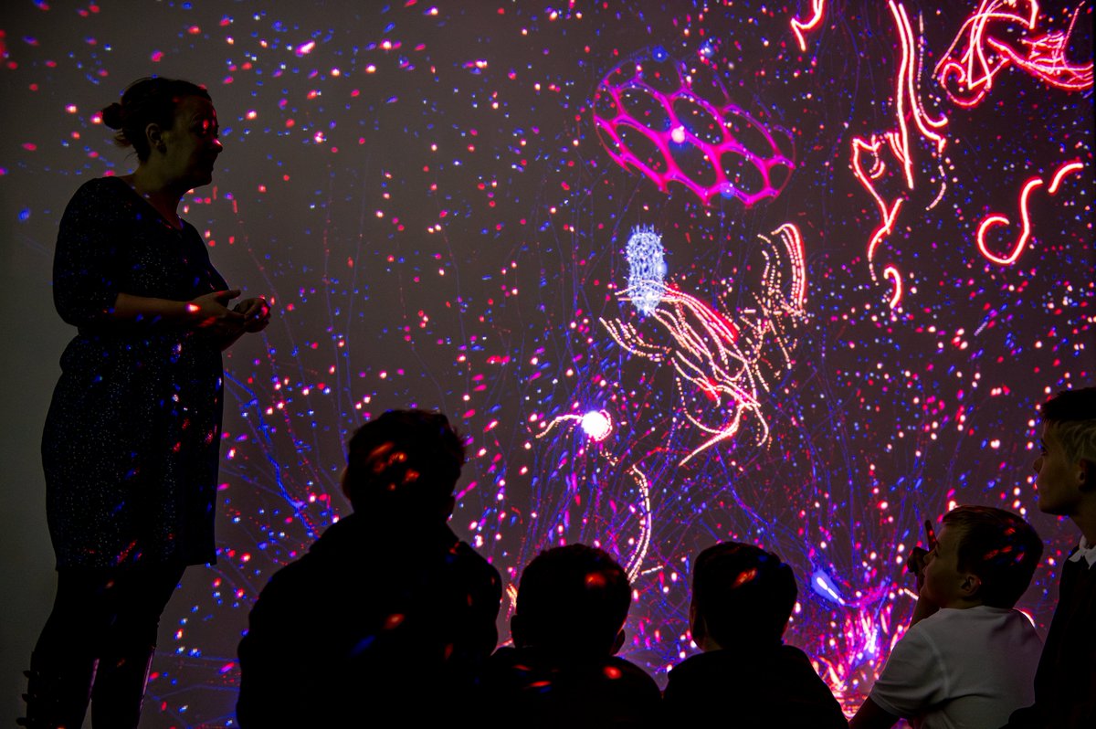 levelcentre's tweet image. If you watched #PaulWhitehouse #OurTroubledRivers on @BBC  this week you will be interested in our #DigitalInstallation by #HenryDriver levelcentre.com/water-portals/ Learn about the microscopic world of water
#Rivers #Environment #Digital #LetsCreate 
Learning for all ages #education