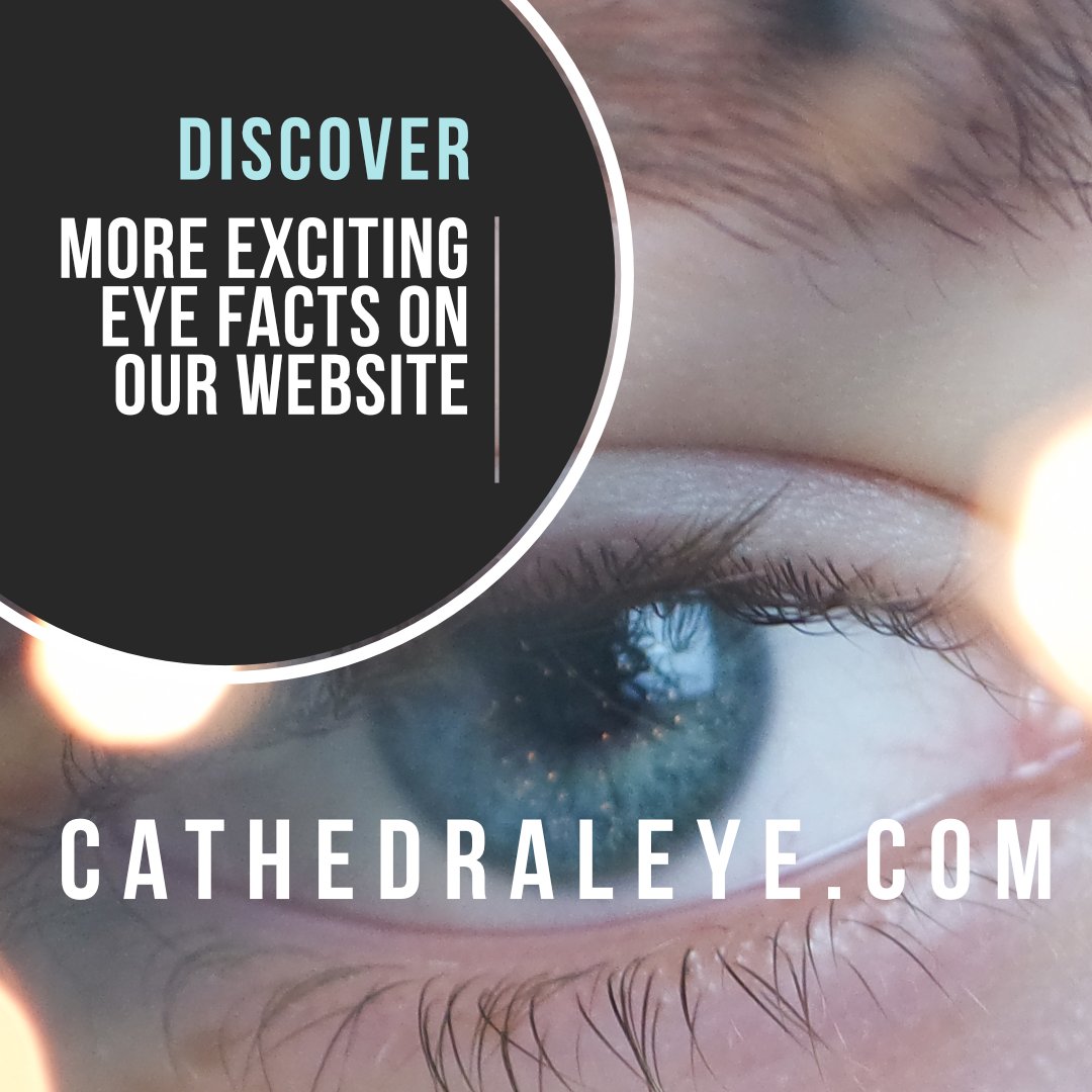 Eyes Heal: Did you know minor corneal scratches can heal within a day or two 😲👁️ Discover more interesting eye facts on our website. cathedraleye.pulse.ly/tk8qiusks9