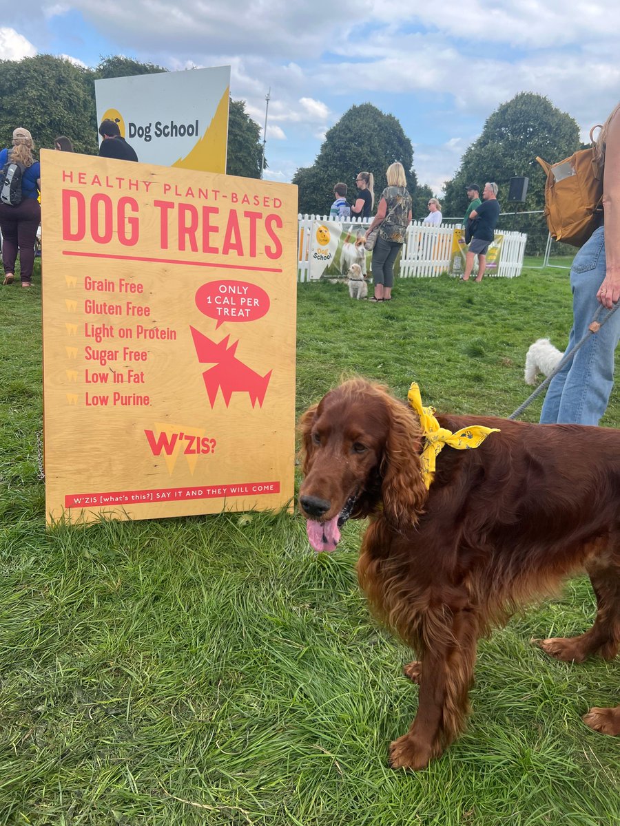 DogFest tweet media