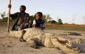 Come let's tourism @Pagacrocordile