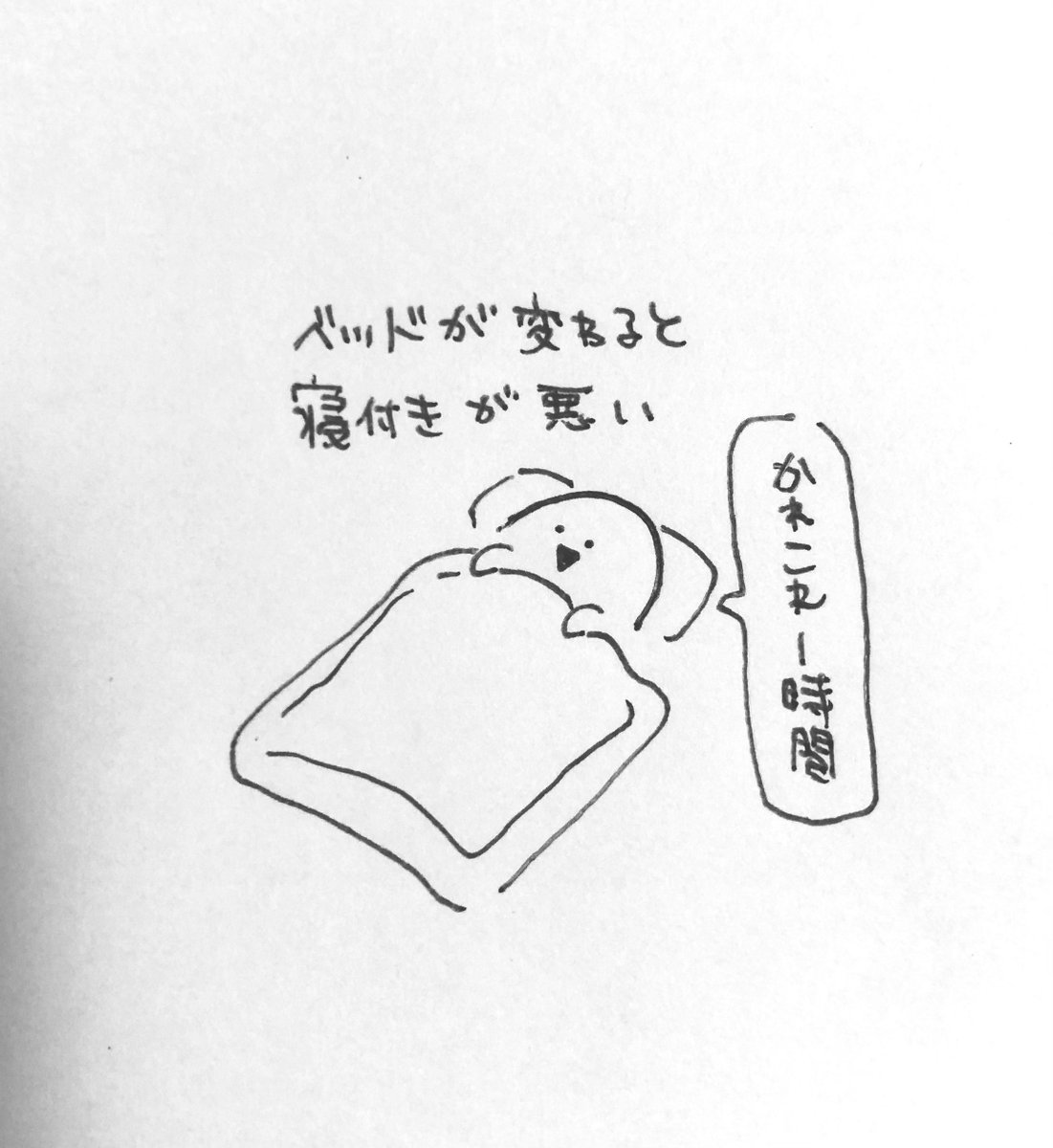 近況報告です 