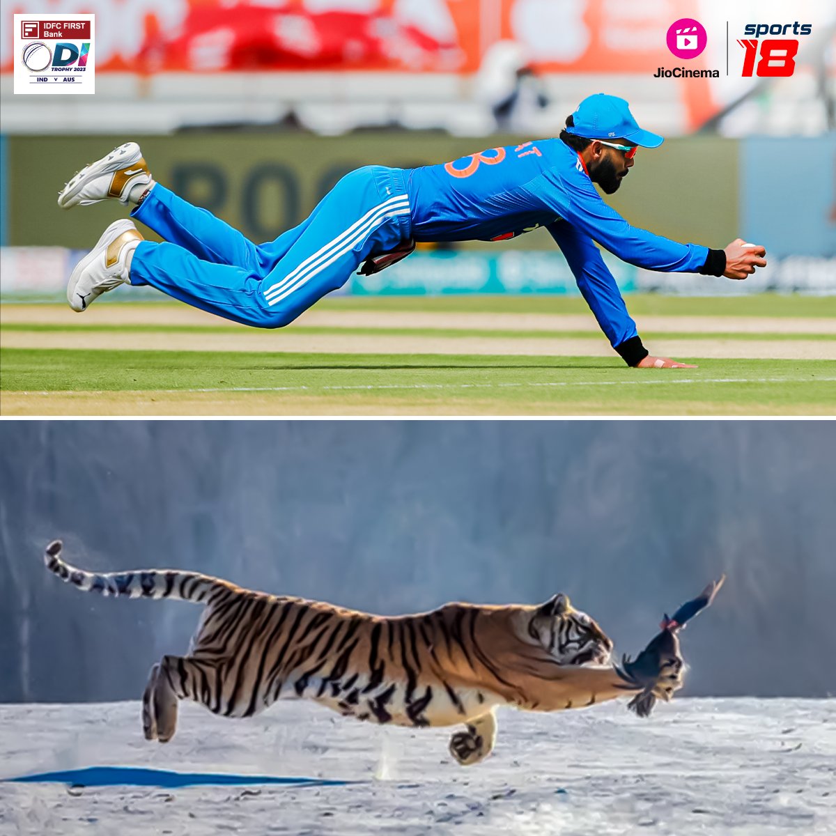 JioCinema poster for King Kohli.

- The GOAT.