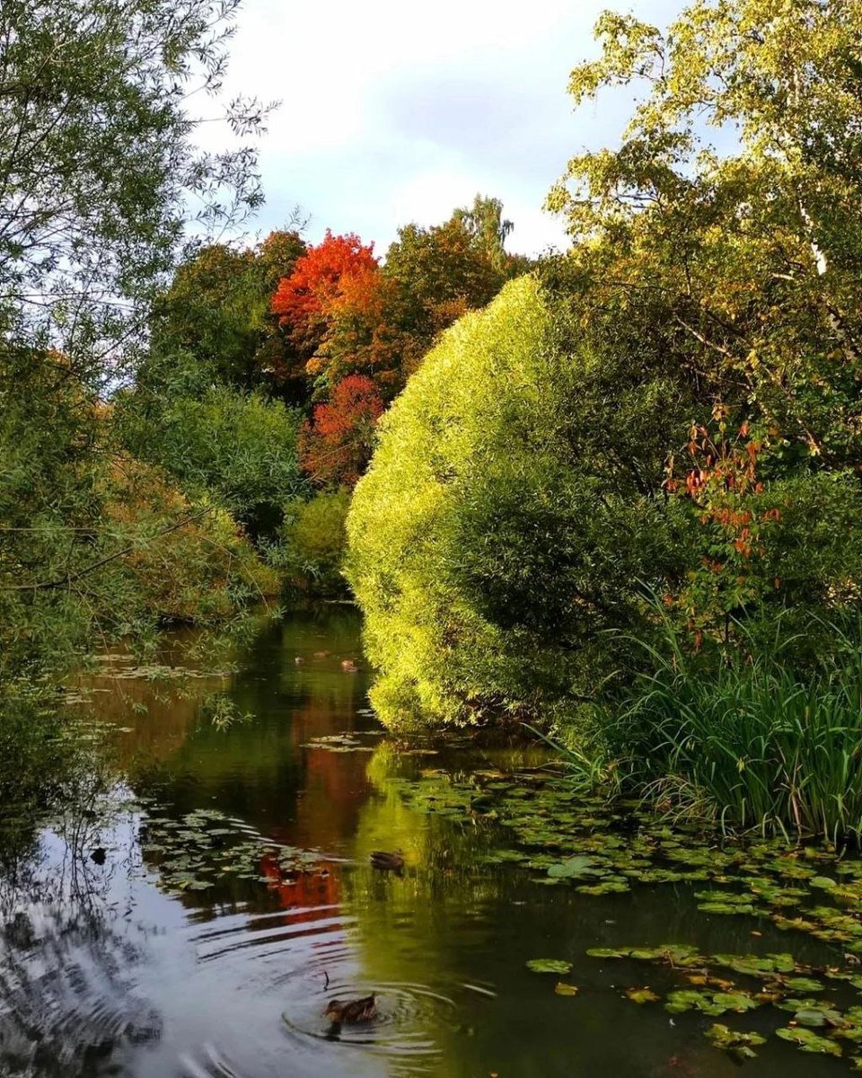 🍀
Good day 

#nature #photography