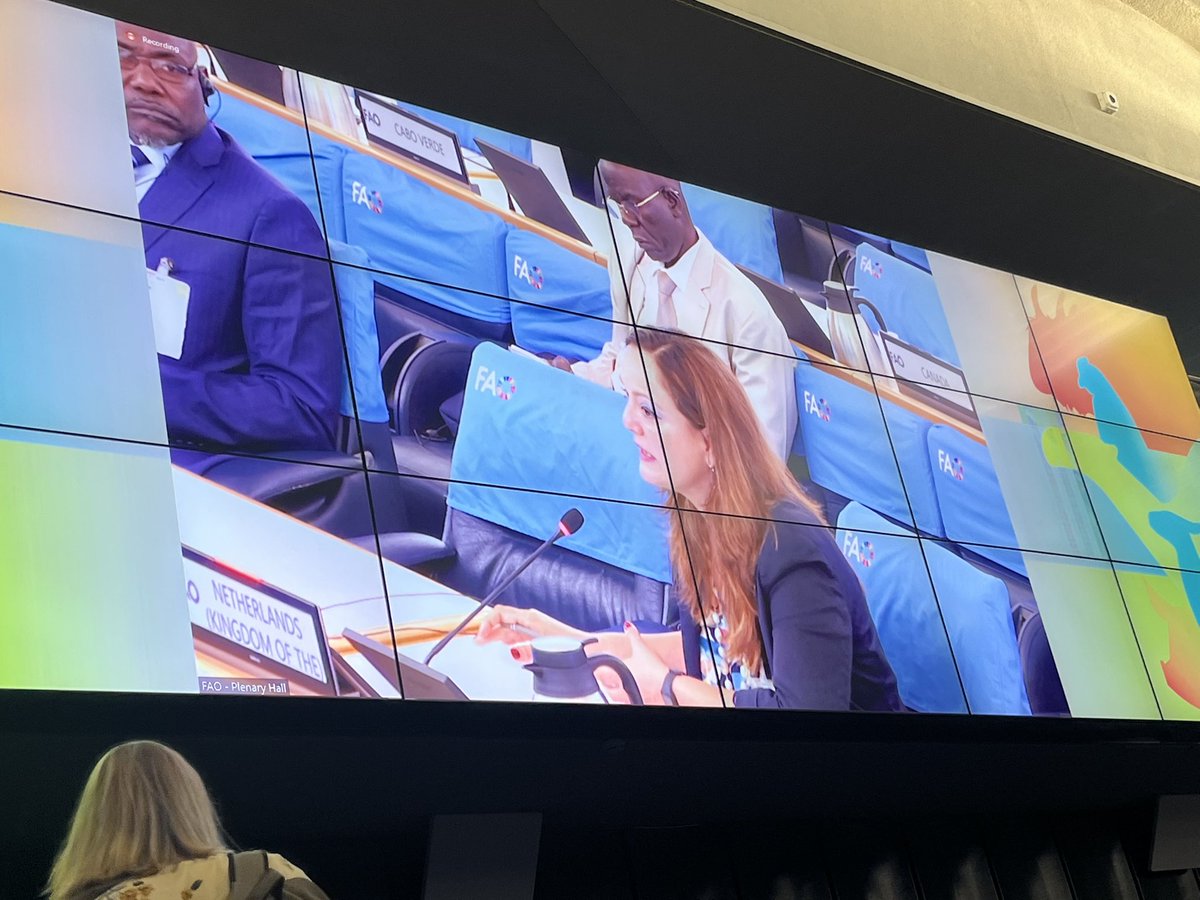 Arianna Guiliodori <a href="/arigiulio/">Arianna Giuliodori</a> , SG of World Farmers Organisation <a href="/worldfarmersorg/">WFO</a>  wraps up the final content session of the FAO Sustainable Livestock Conference which focused on finance. She emphasizes that more of the value in the food system needs to go to the farmers,