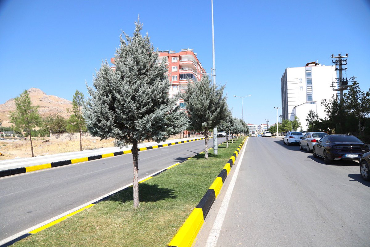 Hizmet Yolunda Durmaksızın Çalışıyoruz
🚧🧱👷🏻‍♂️

Park Bahçeler Müdürlüğü ekiplerimiz tarafından, 

📍Ergani Devlet Hastanesi Caddesinde trafik güvenliğinin yanı sıra estetik bir görünüm sağlamak amacıyla bordür taşı boyama çalışması gerçekleştirildi.

@a_karaaslan69