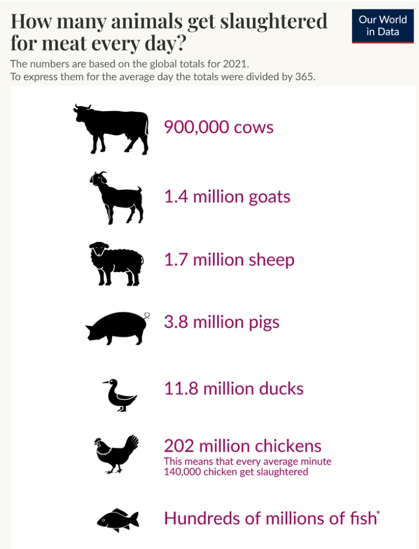 The amounts of animals we are killing for food *every single day*
ourworldindata.org/how-many-anima…