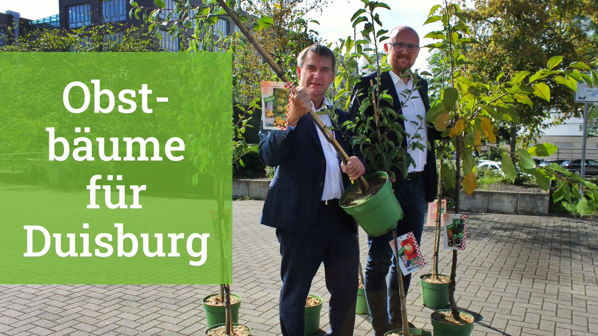 3.000 weitere Obstbäume für #Duisburg! 
Die erfolgreiche Aktion aus April wird zusammen mit Oberbürgermeister Sören Link und @duisburg_de fortgesetzt. Anmeldung erforderlich unter: shop.meine-wbd.de/de/
#wirtschaftsbetriebeduisburg #jedentaggerne #teamduisburg #nachhaltigkeit