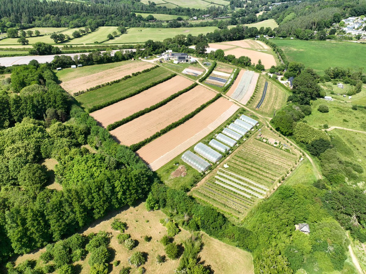 Discover the wonders of regenerative farming and community-building at Bowden Pillars Future! 🌾 
Join us on September 30th, 4-6 pm, at Green Lane, Totnes, Devon. Wear wellies or boots, and bring wet weather gear if needed. No on-site restrooms are available. See you there! 🚜