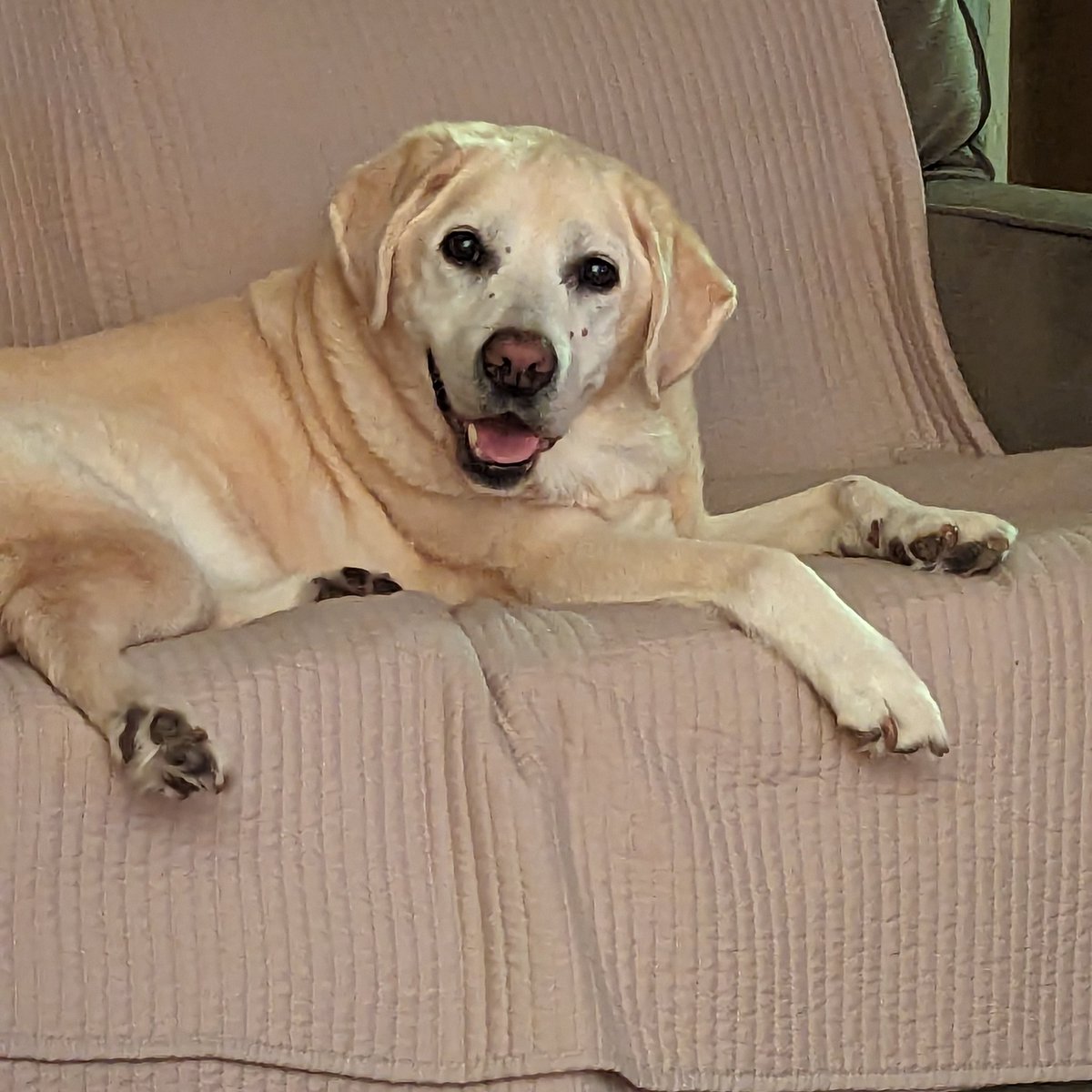 Susan DiClemente tweet media