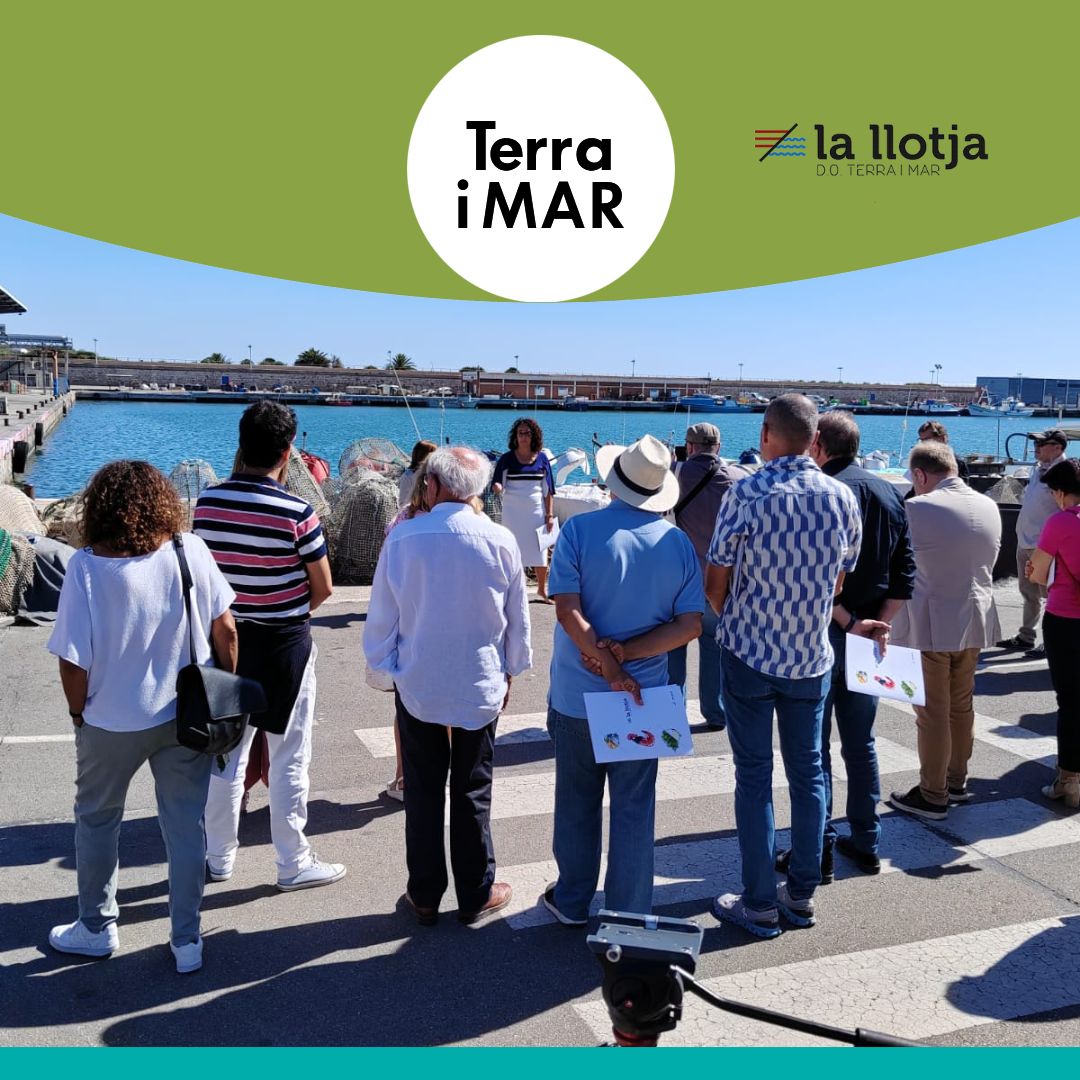 OrigenGarraf's tweet photo. Aquesta setmana hem presentant la 6a edició de La Llotja DO Terra i Mar que entre altres moltes activitats tindrà la 2a Mostra de Vins del Massís del Garraf. No desconnecteu, aviat més novetats!
#origengarraf #garraf #nodegarraf https://t.co/DdD5dyyPKV