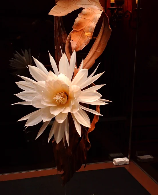 先日超絶技巧展に行ってきたんですがすごかった～これ全部木材とか鹿の角とかガラスでできてるんだよ…全部が気が狂いそうな細かい手作業すぎて一緒に見に行ったフォロワさんたちと「どうしてこんなことを…」とか「説明を読んでも制作過程がわからん」とかずっと言ってたオススメです 