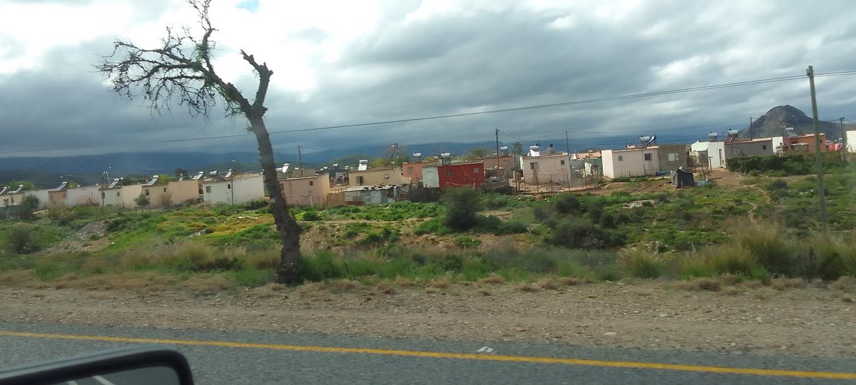 allantravelling's tweet photo. Bent by the wind, a tree on it's last, with a moody sky and some small houses on the outskirts of Ladismith Klein Karoo
Check out Allan's travels 😎👇
https://t.co/ypvkFdELDb
#Travel #trees #clouds #roadtrip #nomad #karoo #smallhouses #adventure https://t.co/AkfQgNfaCl