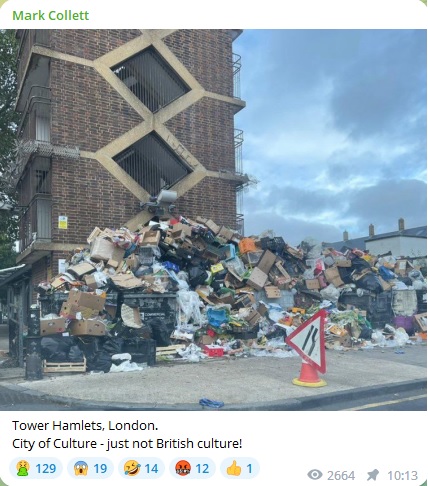DrMarianaClaire's tweet photo. #MarkCollett aka #PatrioticAlternative aka#LittleHitler there's been a bin strike going on for the last week you muppet. https://t.co/n5af6lEgG0
