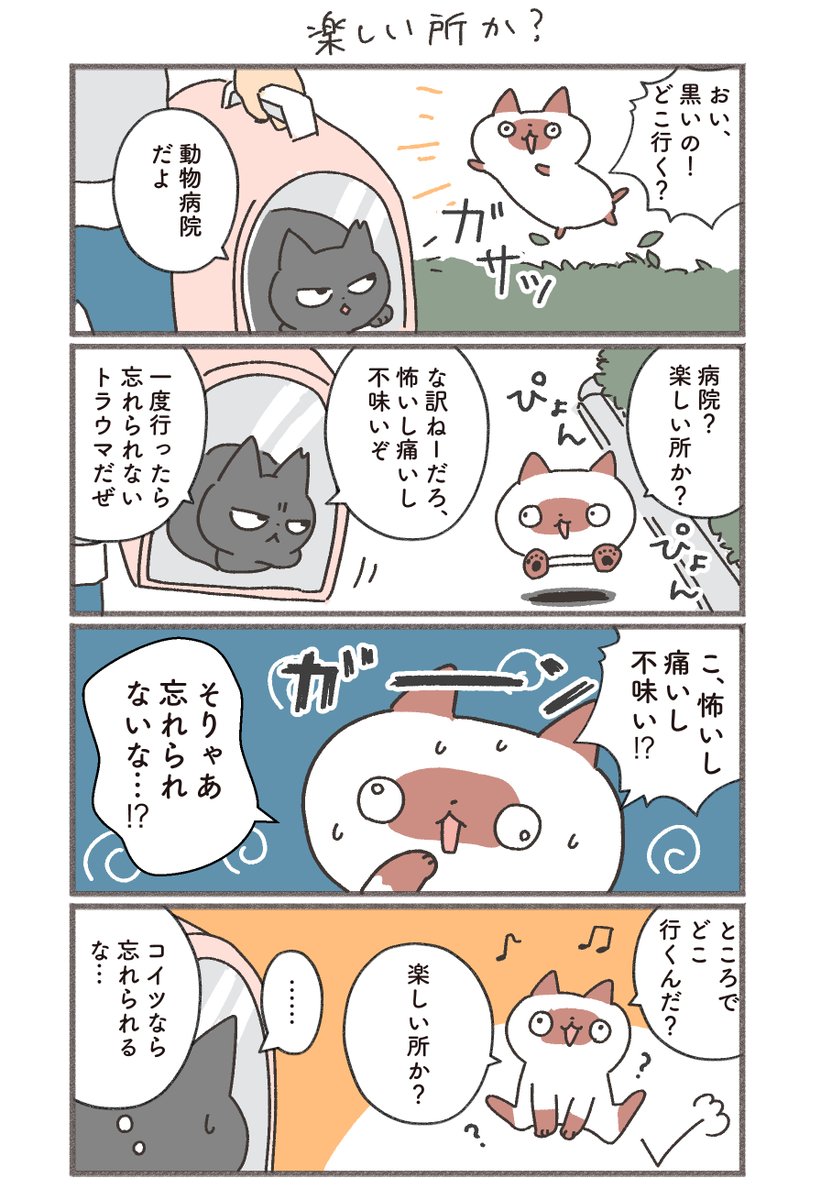 その8「楽しい所か?」 #もしも猫の日常