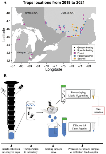 Full article: Biosurveillance of oak wilt disease in Canadian areas at risk tandfonline.com/doi/full/10.10… 
#Oakwilt
#Plantpathology
#earlydetection
#Biosurveillance