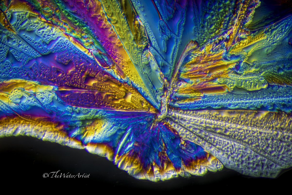 “Expansion” by The Water Artist from Water labeled "The Highest Within Will Rise"  info@thewaterartist.net to co-create Water’s message for Self or Loved One. 
#lightworker 
#healingart
#waterprayer
#encoded
#frequencyArt