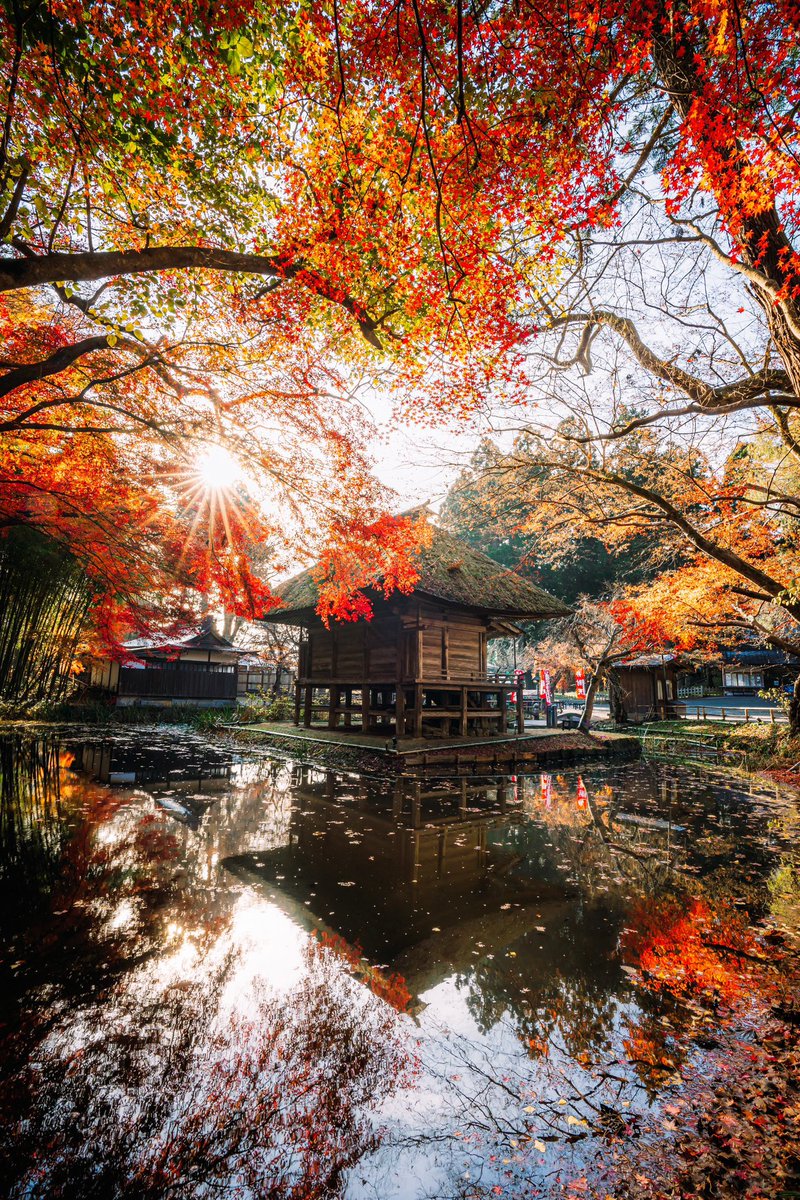 秋の中尊寺が強すぎる