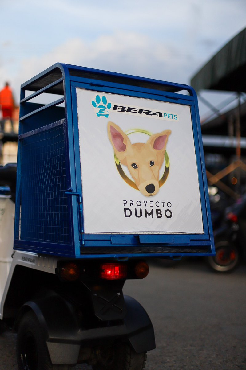 Proyecto Dumbo tweet media