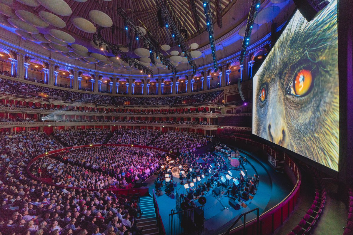 📣New opportunity! <a href="/RoyalAlbertHall/">Royal Albert Hall</a> is looking for a Programming Executive

Deadline: 20th Oct, 12pm
Compensation: Display Salary £32,500 
Apply here: ypia.co.uk/opportunities