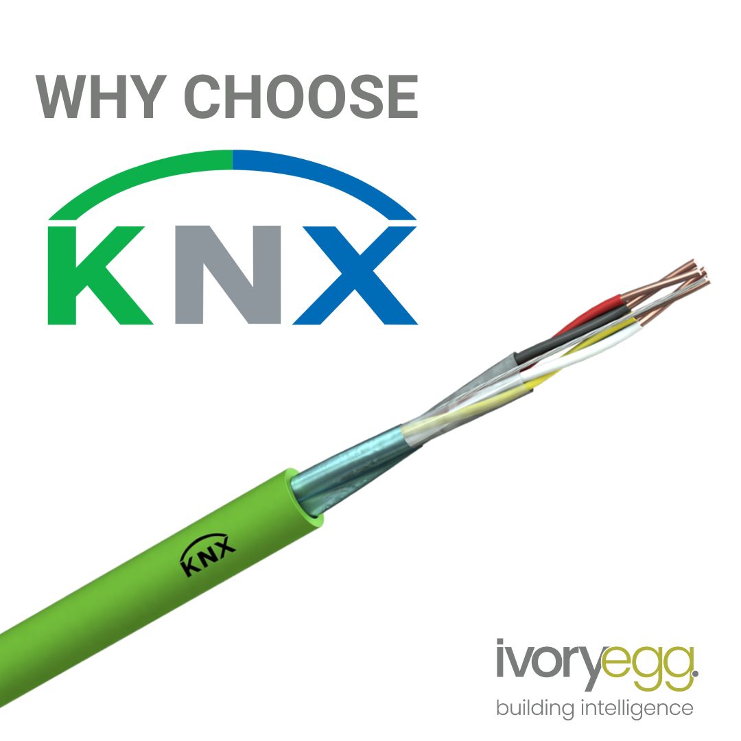 Ivory Egg tweet media