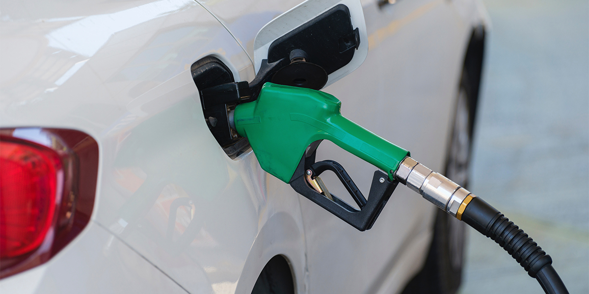 bridleleasing's tweet photo. Last week, Rishi Sunak announced that the UK will delay its ban on petrol and diesel vehicles by 5 years. 🚫

Here's what you need to know about the new 2035 ban > https://t.co/Th765S3PXO

#Cars #EV #Petrol https://t.co/kSnVKVYs0n