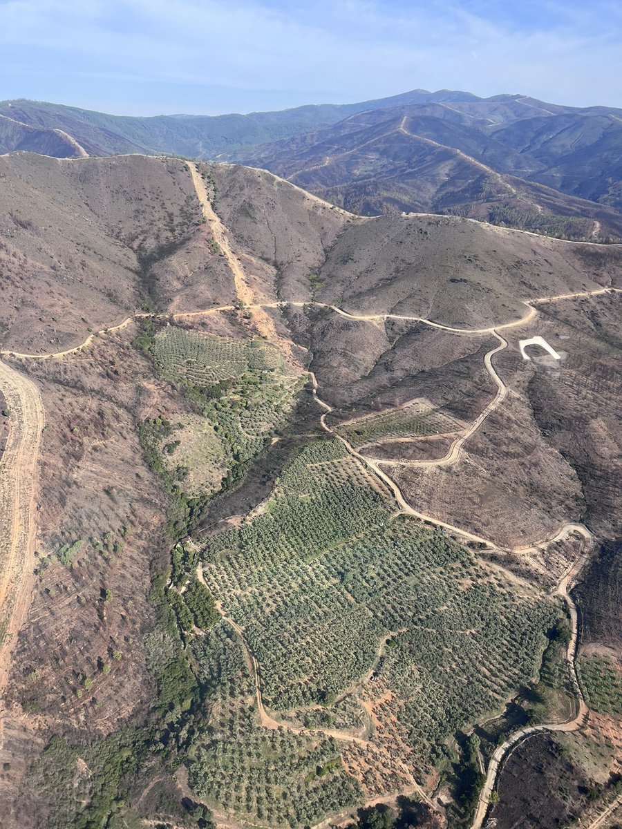 CaminoLimia's tweet photo. La importancia del mantenimiento de los usos tradicionales en nuestros montes, y como se configuran estos olivares tradicionales como zonas de oportunidad y esperanza en la lucha contra los incendios.

Cuando hablo de mundo rural y de la importancia de sus gentes como conocedoras de las dinámicas naturales , me refiero entre otras muchas cosas al trabajo de los olivareros tradicionales, en estos días luchando por los precios de sus aceitunas.

No podemos dejar de sumar este valor incalculable en el mantenimiento de nuestra biodiversidad 

Imagen aérea actual: Incendio Hurdes 2023