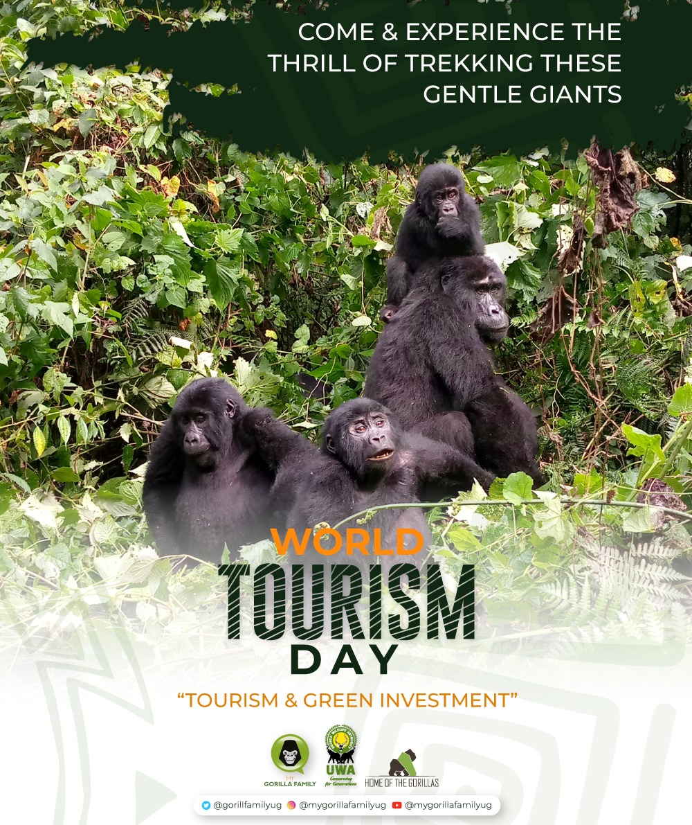Happy World Tourism Day!🌍
🦍👏
Join us as we celebrate "Tourism and Green Investment." Let's preserve the beauty of Uganda for generations to come!

#WTD2023 
#exploreuganda
