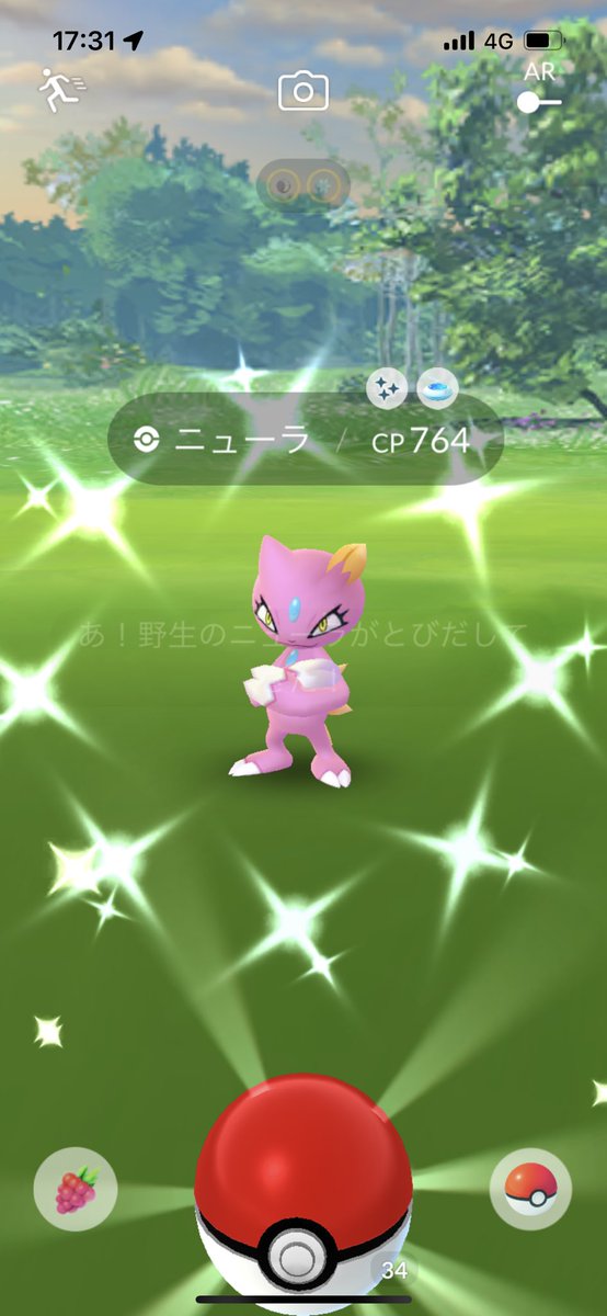 sisimaru_go's tweet photo. 今日は欲しかった色違いが2匹もでたー！
 #ポケモンGO色違い https://t.co/HqlhzY9btb