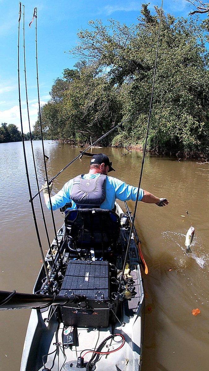 MShepherdFishin's tweet photo. Seems like there's a National Day for almost everything.

I proclaim today to be NATIONAL KAYAK RIVER BASS FISHING DAY 🎣 https://t.co/aBX35PeqId