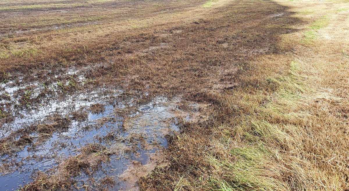 Why is our local beach closed for weeks on end?
Why is there nothing but leeches and maggots living in our streams?
Why are people in this community getting ear/nose/skin infections after sea swimming?

A walk upstream tells all...

We treat our rivers like sewers.