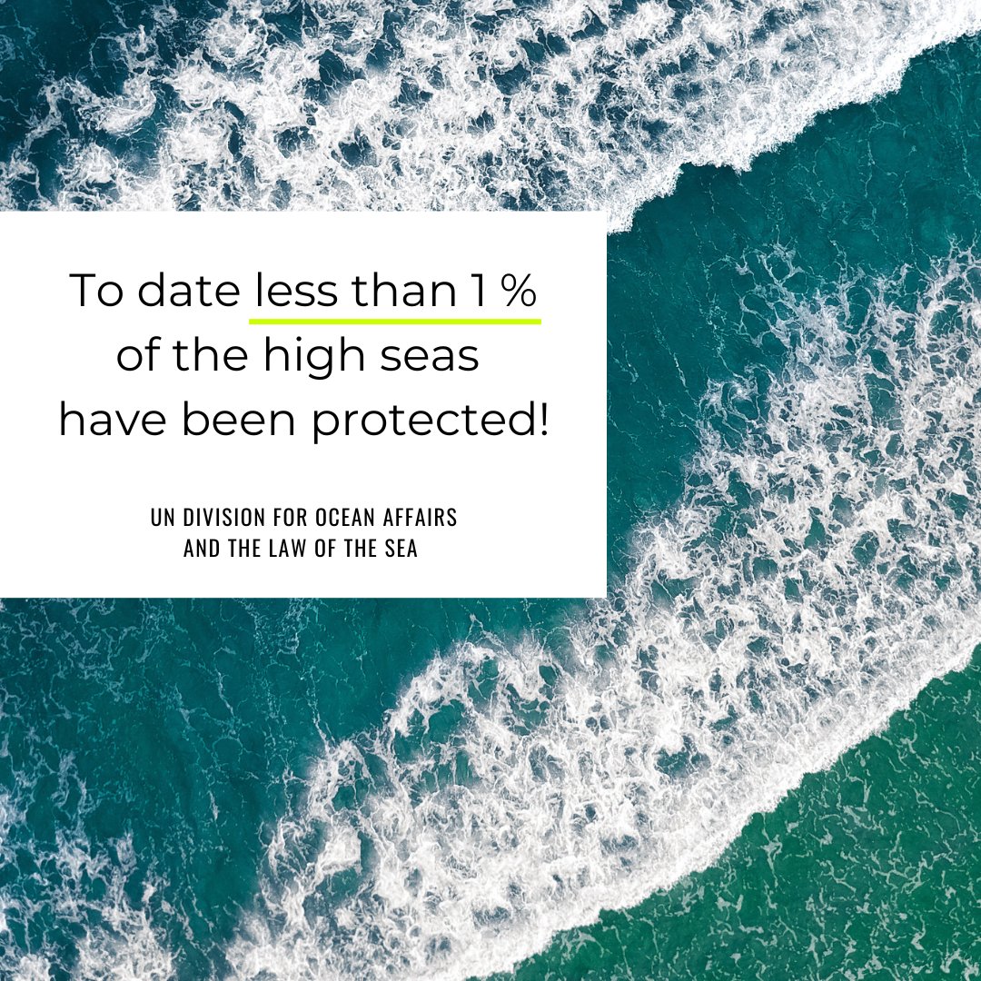 As of today, around 80 countries have signed the High Seas Treaty. Now we need a quick ratification so that it can enter into force. High Seas Alliance aims to achieve this by the UN Ocean Conference in June 2025. Fingers crossed!

#BBNJ #biodiversity #ocean