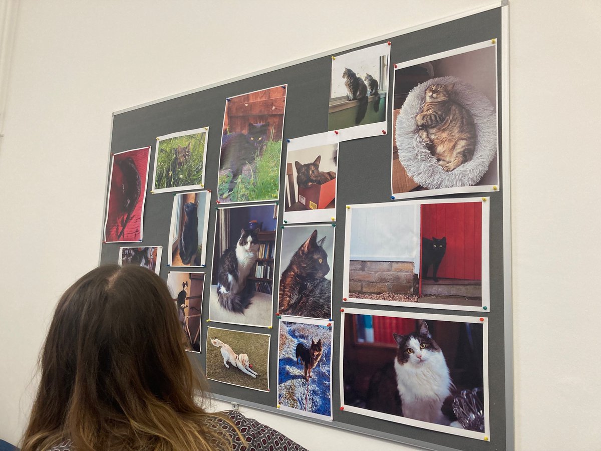 Began the week in Scotland for the <a href="/MyPath_EU/">MyPath</a> work package 3/4 meeting. Lots of useful discussion and planning for next steps in creating and implementing digital pathways for supportive cancer care. (Also very much appreciated Edinburgh’s vibes and the staff pet photo board 🐾)