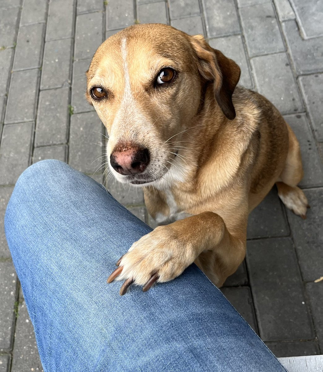 Anne (@ahm_kos) on Twitter photo 