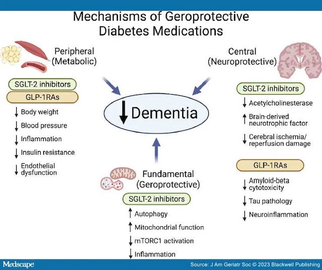 Tratar la diabetes es tratar la demencia 🧠

– Pacientes con demencia tienen hiperinsulinemia cerebral. 
– los antidiabéticos evitarían la aparición de demencia. 
– Los SGLT-2, GLP-1 y IDDP-4 serían los ideales para tratar la diabetes tipo 2 y evitar demencia.