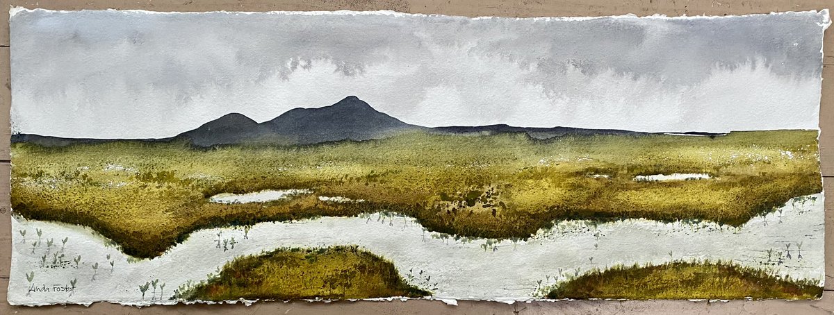 A biggy - for me! 78cm x 28cm. 'Flow Country 2' #watercolour #North #contemporaryart #peatbog #scottishlandscape #artistsoninstagram