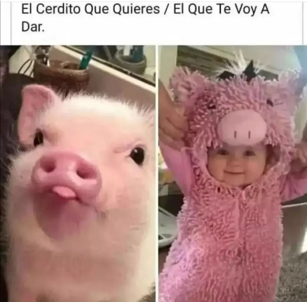 Indirectas.plenas (@indirectasplen) on Twitter photo 